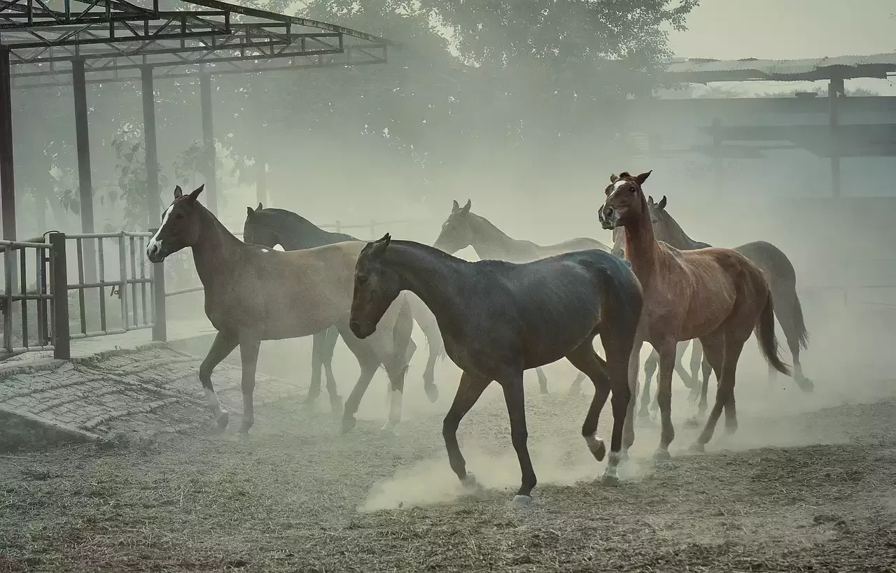 O mundialmente famoso Hipódromo de Ascot