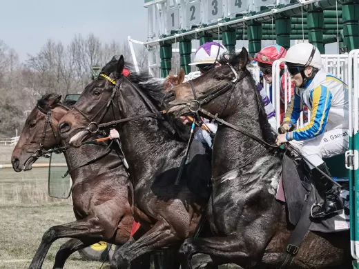 Acumuladores e Perms para Corridas de Cavalos