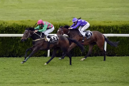 Lester Piggott uma lenda das corridas de cavalos