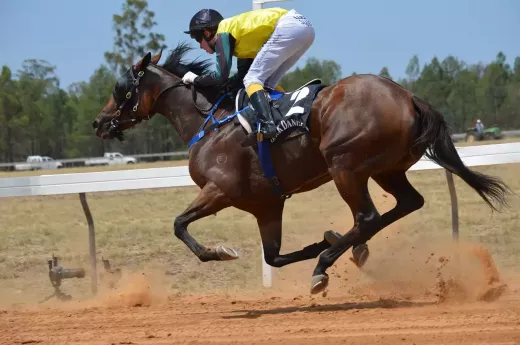 A prestigiada Corrida das Estacas Belmont